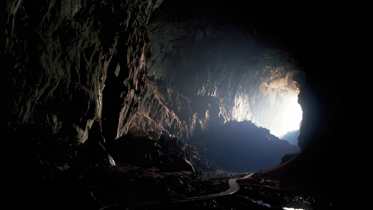 Escaping the Cave: Breaking Free from Business Blind Spots