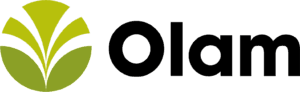 R (6)